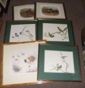 AFTER A THORBURN, PAIR OF COLOURED LITHOGRAPHS, “Gadwall” and “Wigeon”. 9” x 11 ½”, and four others,