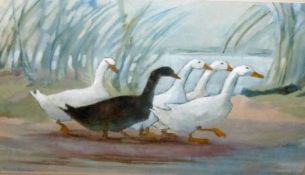 MADGE BRIGHT, SIGNED, WATERCOLOUR, “Dawn Patrol” (Geese), 17” x 23”