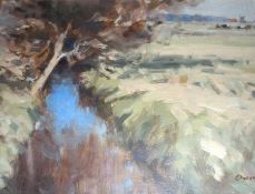 OWEN WATERS, SIGNED, OIL, Inscribed verso “A Norfolk Dyke”, 8 ½” x 11 ½”