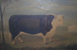 UNSIGNED, MIXED MEDIA, (age unknown), “A Prize Hereford Bull, The Property of Mr Mel Curley of
