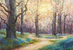 A HOOKWAY, SIGNED, WATERCOLOUR, Bluebell Woods, 9” x 13”, Provenance: Tudor Galleries, 14 Theatre