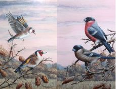 MARK CHESTER, SIGNED, PAIR OF ACRYLICS, Goldfinches and Bullfinches, 11” x 7 ½” (2)