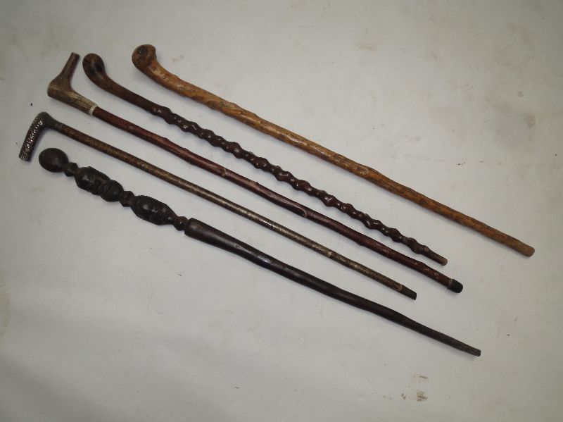 Five mixed walking sticks
