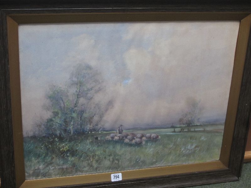 TOM CAMPBELL watercolour `Shepherd & sheep` signed lower left 45 x 60 framed