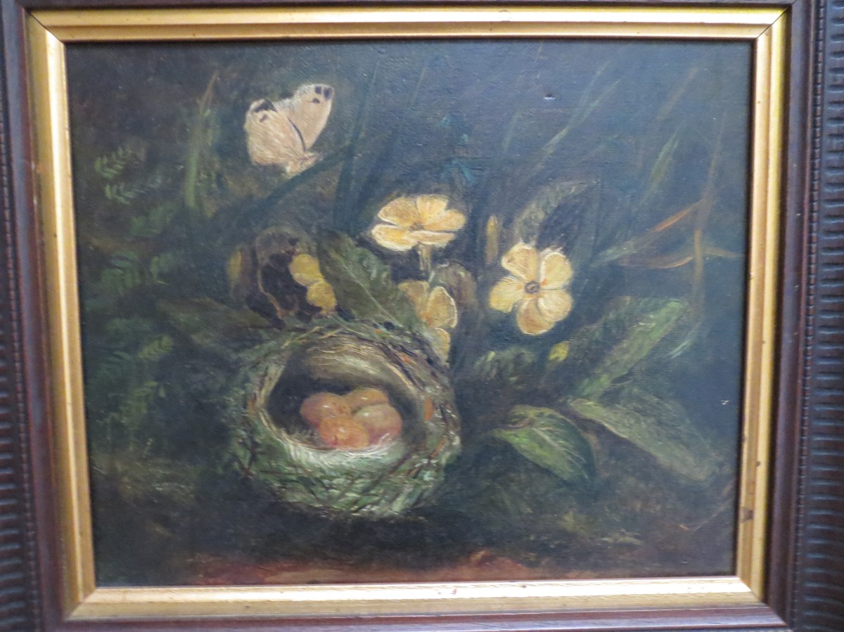 C19th English school `Birds nest`, `Butterflies & primroses`