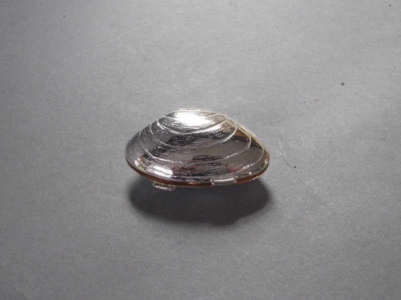 Sterling Silver Clam Shell Box with Gilding Inside