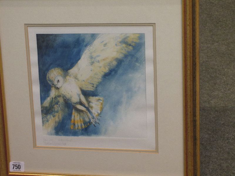 MARTIN KNOWLDEN C20th Watercolour `Barn Owl` signed in pencil xxxx lower left 26 x 26