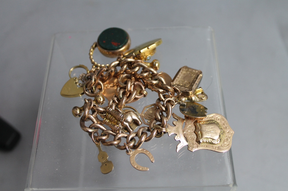 A 9ct gold charm bracelet containing eighteen assorted charms and padlock fastener, total gross