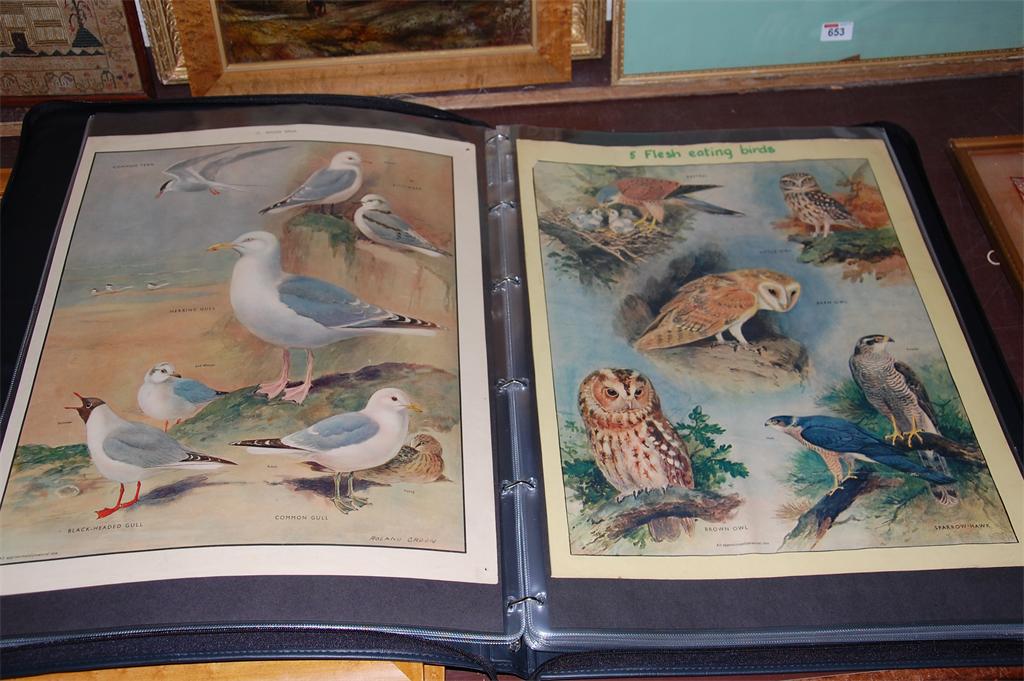 A folio of prints depicting various animals, birds, flowers, fish, plants etc, each annotated,