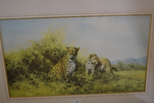 David Shepherd, Limited Edition colour print, `Leopards`, No. 202 of 350