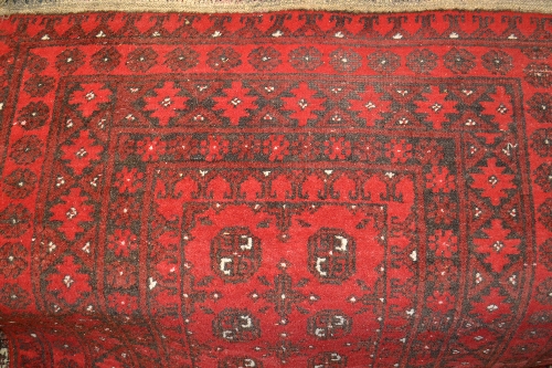 Afghan rug on wine ground with multiple borders