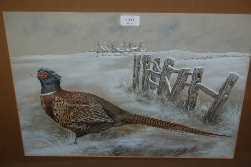 Gary Woodley, 20th Century watercolour study, a pheasant in a Winter landscape, signed, 14ins x