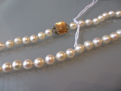 Uniform cultured pearl necklace with a 9ct yellow gold clasp