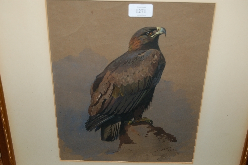 Archibald Thorburn, watercolour, study of a golden eagle, signed and dated 1884, 13ins x 10.5ins,