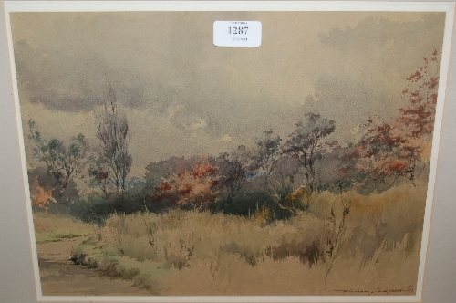 William Porter, watercolour, country landscape, signed and dated `89, 10.5ins x 14ins