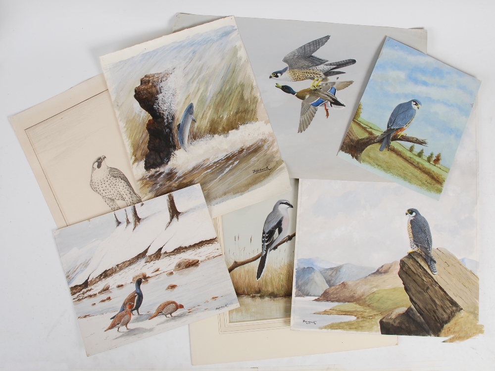 AR Charles Wolfe Murray "Fish-Hawk" (20th century) a collection of unframed watercolours,
