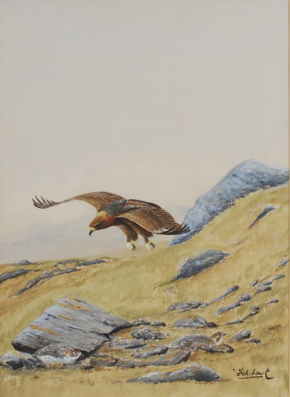 AR Charles Wolfe Murray "Fish-Hawk" (20th century) Saker Falcon, Golden Eagle landing on cliff