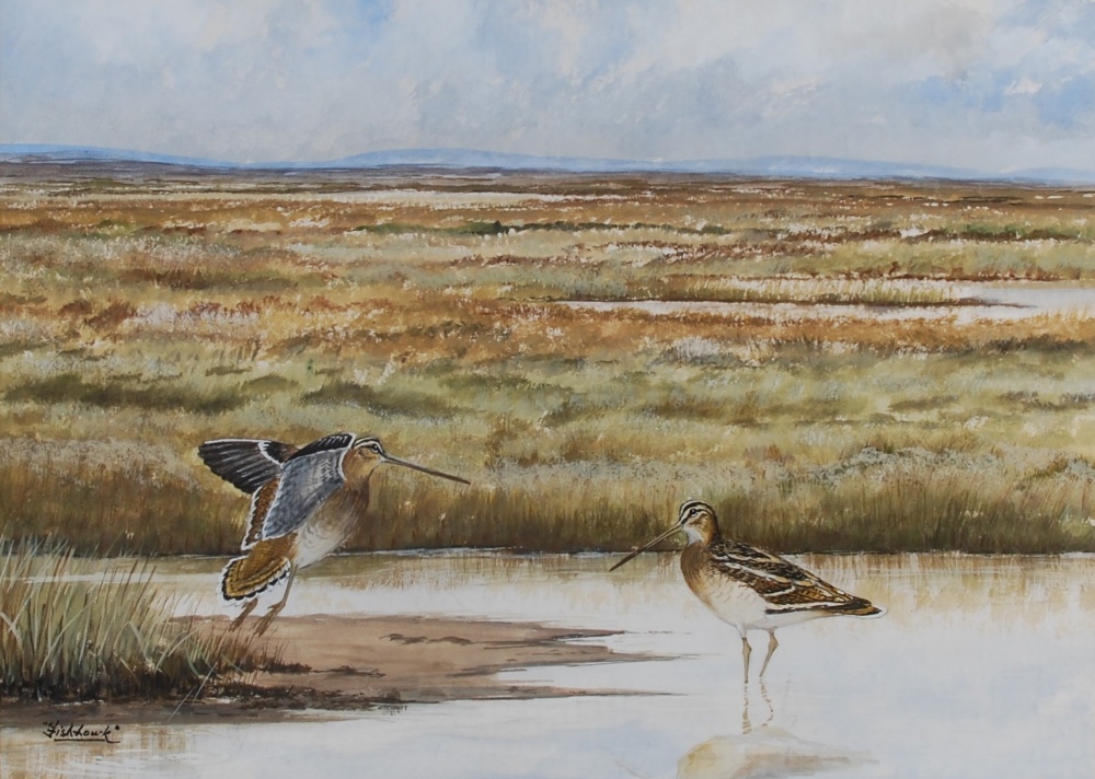 AR Charles Wolfe Murray "Fish-Hawk" (20th century) A pair of snipe, Turnstone and Purple Sandpiper