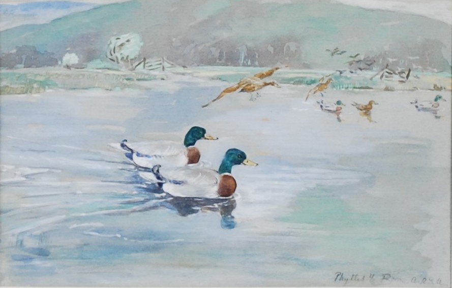 AR Phyllis Mary Bone RSA (1894-1972) Mallard watercolour, signed lower right, bearing original `