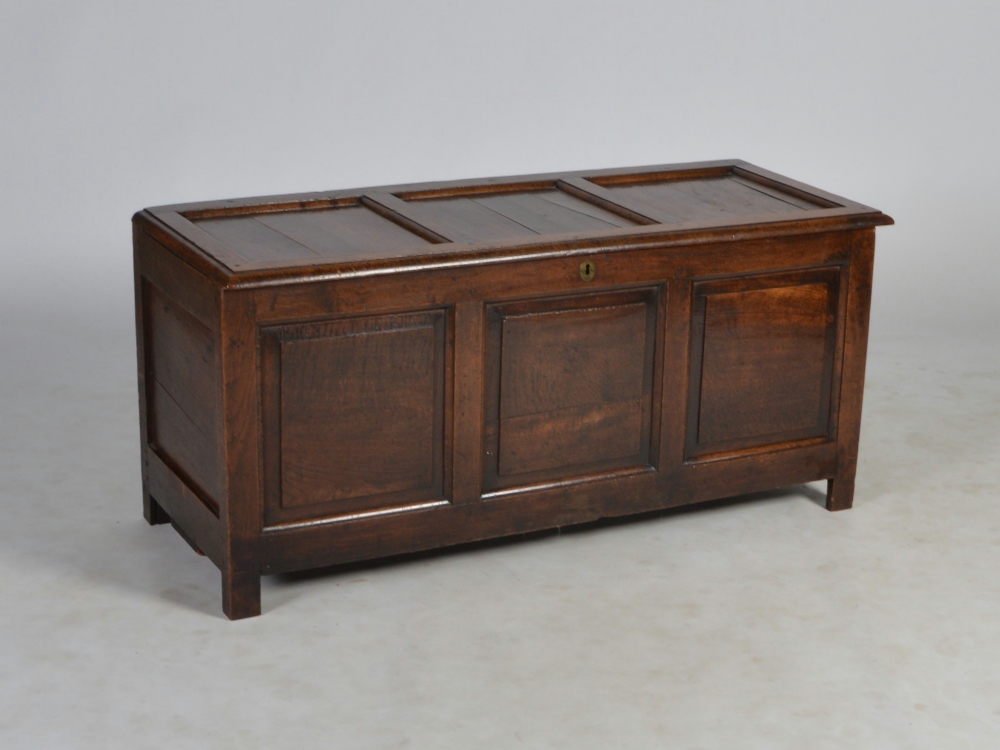 A 19th century oak coffer, the triple panelled cover above corresponding front panel, raised on