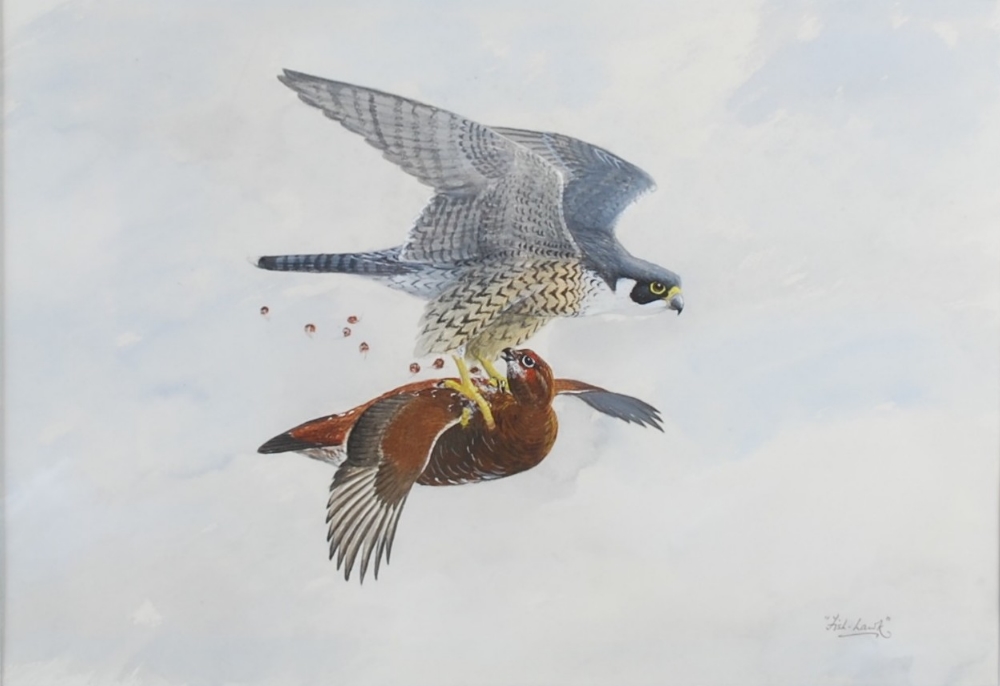 AR Charles Wolfe Murray "Fish-Hawk" (20th century) Peregrine and Grouse, a pair watercolours, signed