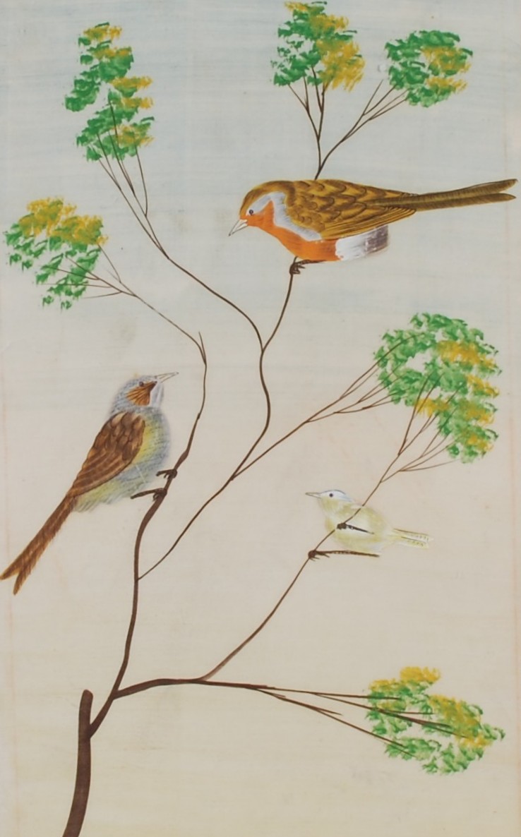 Late 19th/ 20th century Persian School Bird study watercolour on silk 45.5cm x 29.5cm