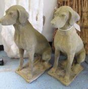 COTSWOLD STONE DOG STATUES, a pair, 19th century style, weathered, 100cm H, base 35cm x 25cm.