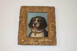 Oil on canvas of St Bernard Mountain Dog puppy