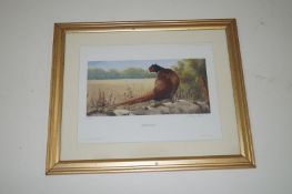 A signed print by Terrence Lambert of pheasants