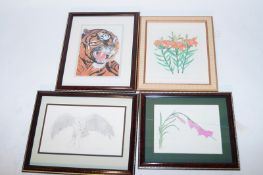 Four drawings signed Nicholls