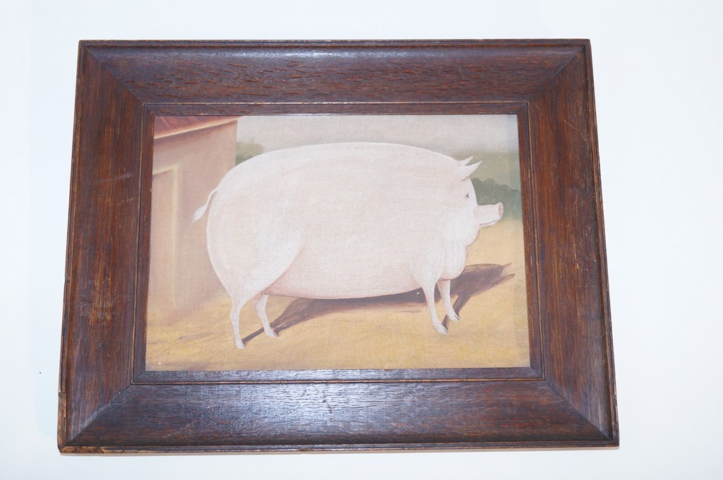 An oil on board of a Pig in an oak frame