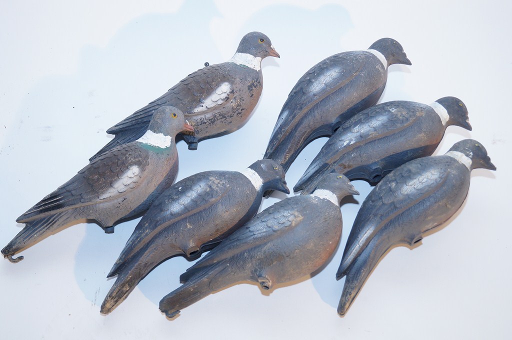 Collection of decoy Pigeons