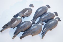 Collection of decoy Pigeons