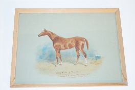 A signed watercolour by W.V Longe, dated 1906, Inscribed King Violet by Prince Violet; Winner of the