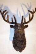 A life size bronze stag head