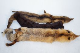 Two fox stoles and another stole