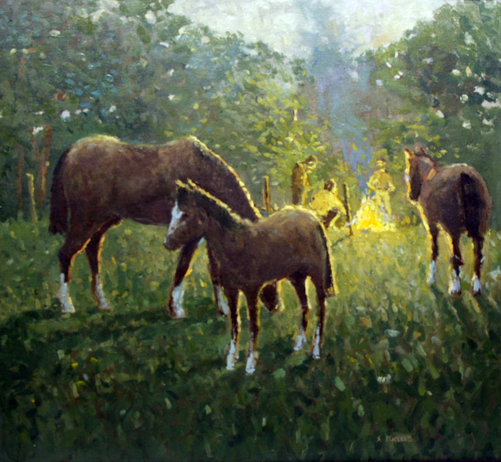 S. MacleodHorses GrazingOil on Canvas61 x 65 cmsSigned