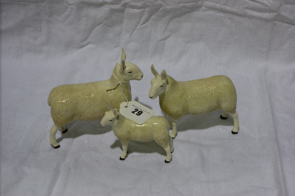 A Group Of Three John Beswick Model Border Leicester Sheep