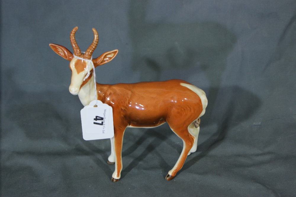 A Beswick Model Springbok By Arthur Gredington