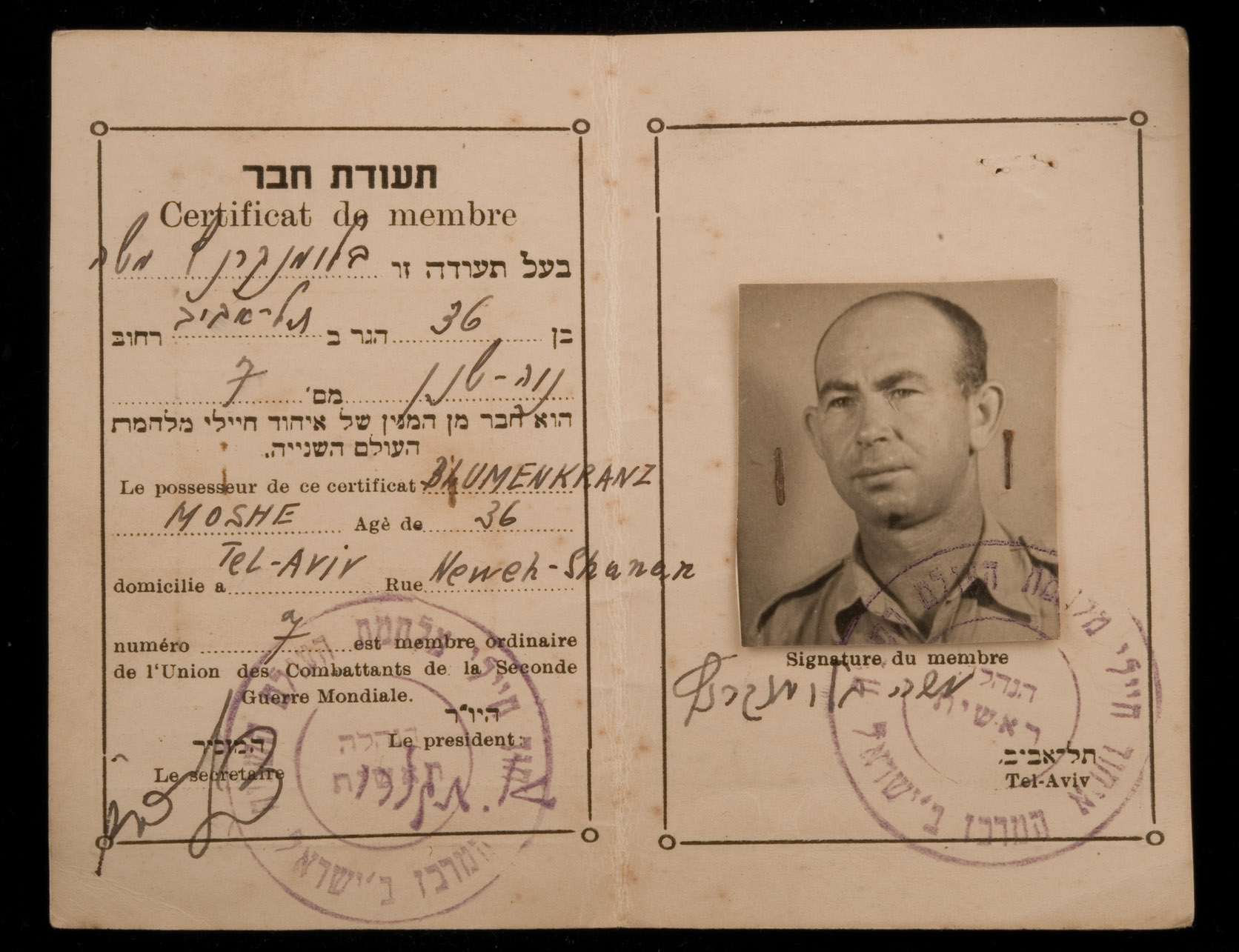 *A Second World War Group awarded to Moshe Blumenkranz, Jewish Brigade, Four: 1939-45 Star, Africa