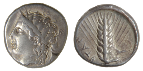 *Italy, Lucania, Metapontum, stater, 4th cent. BC, diademed head of young Dionysus left, rev., ear