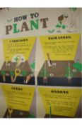 Ephemera – Horticulture poster – WWII ‘How to Plant’^ large poster with instructions on how to plant