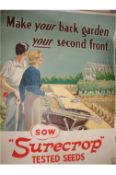 Ephemera – Horticulture poster – WWII ‘Make your back garden your second front – sow Surecrop Tested