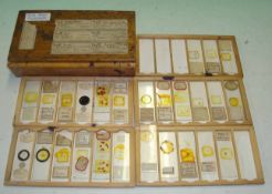 Collection of Microscope Glass Slides: Original Slide box containing 70 Glass slides with labels