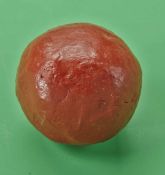 An interesting and large lump of red gutta percha - used for making golf balls