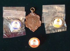 Subbuteo Champions Bronze Medal and Subbuteo Badges: Medal from 1961-62 together with 3 rare