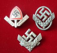 WWII German RAD Officer Peaked Hat Shovel and Wheat Sheaved Badge: With markings to rear Ges RAD