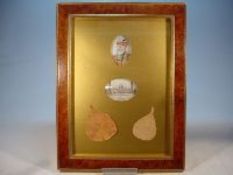 India – Relic of the Indian Mutiny – Original Portrait of King of Delhi with two framed Peepal leafs