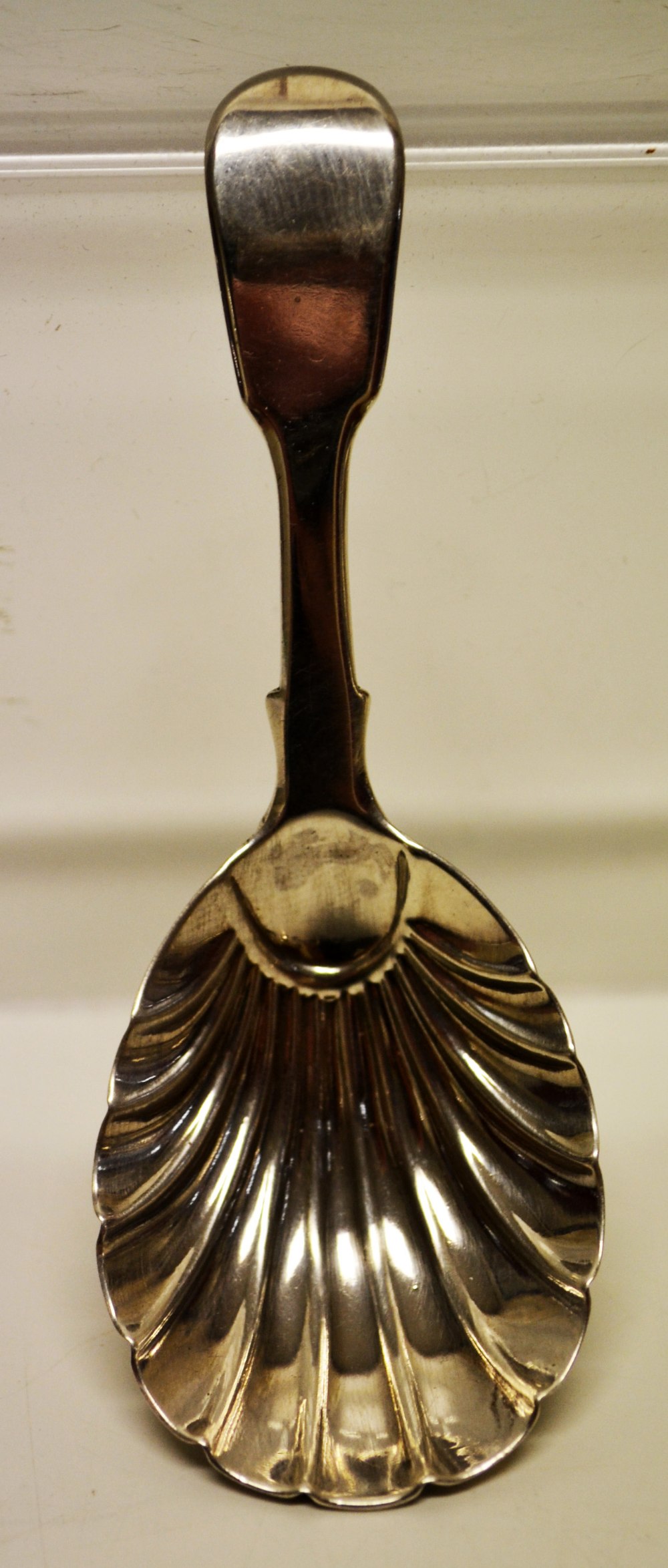 A William IV silver caddy spoon, the shell fluted bowl with a fiddle pattern handle. Maker Mary