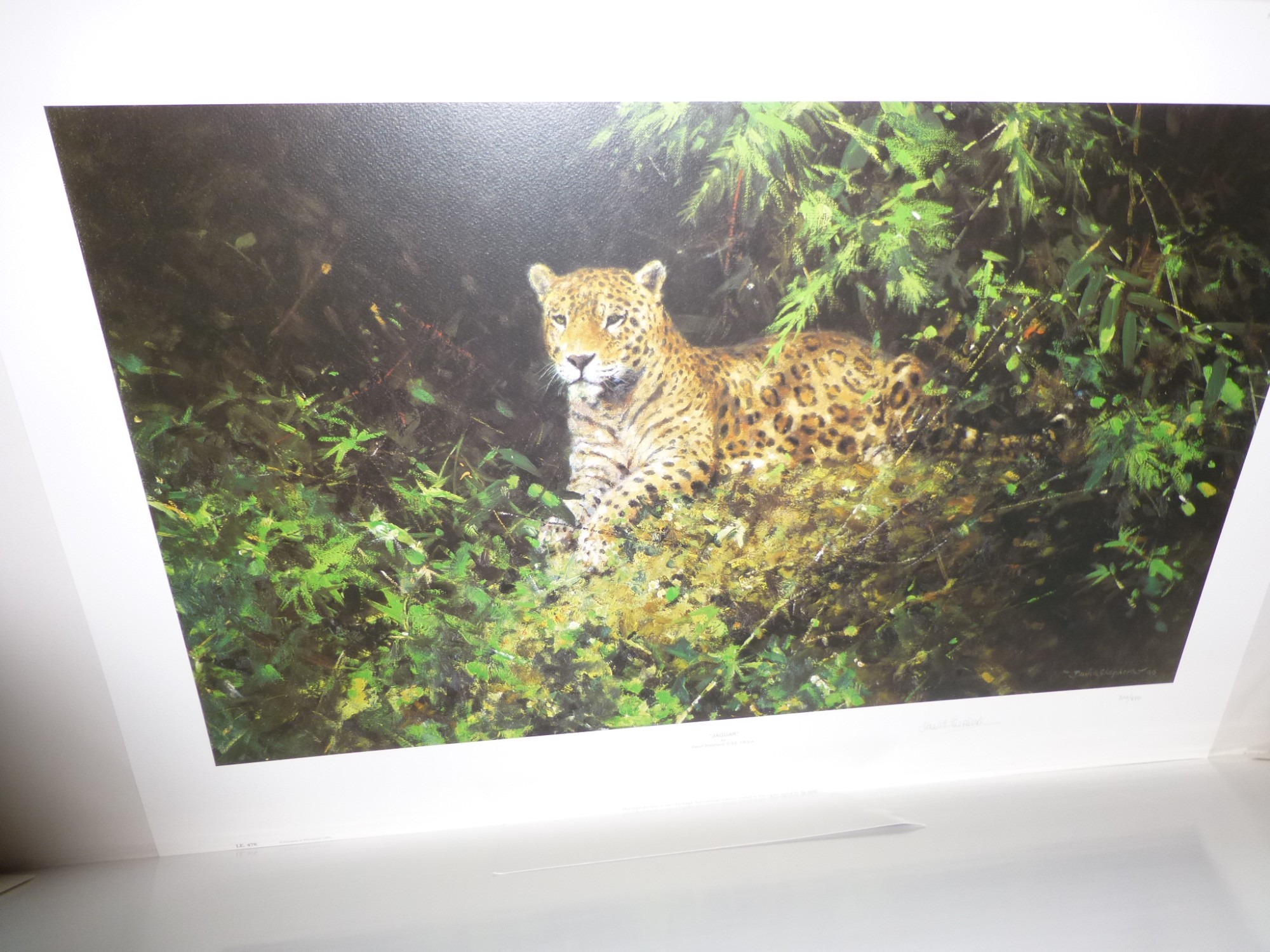 David Sheppherd Ltd edition print " Jaguars "